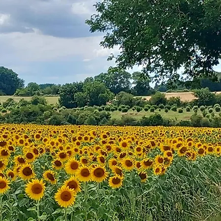 La Maison Du Tourniquet 公寓 *