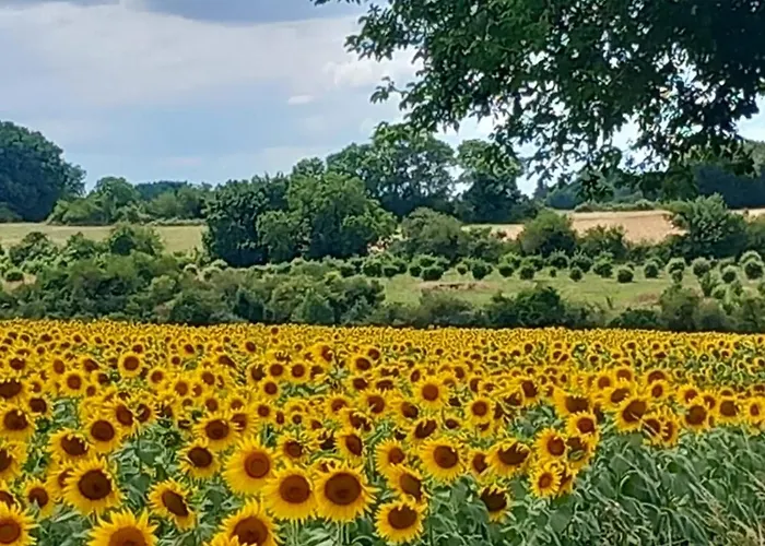 La Maison Du Tourniquet Apartamento *
